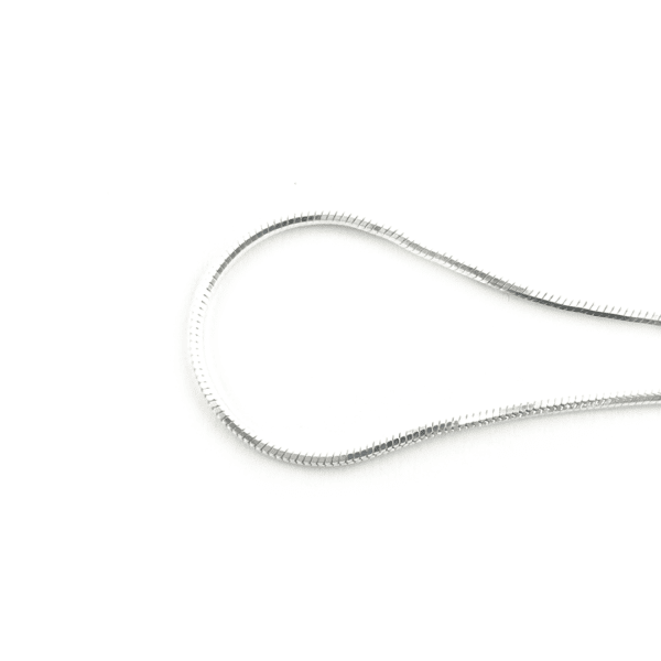 Sidabrinė grandinėlė ant kojos - Image 2