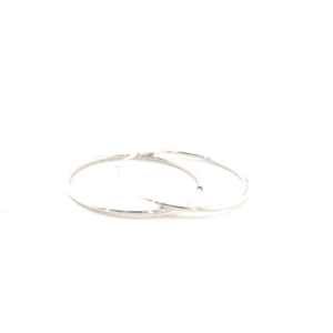 Sidabrinės rinkutės