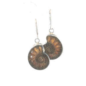 Sidabriniai auskarai su amonitu
