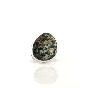 Sidabrinis žiedas su astrofilitu